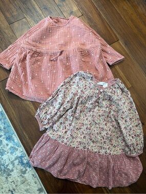 Zara 2-3y Dresses